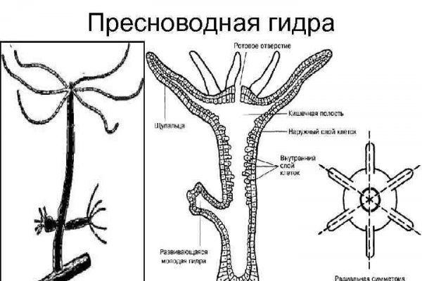 Как перейти на кракен