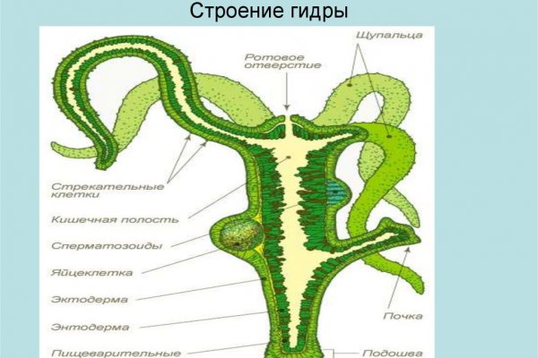 Ссылки на сайты в даркнете